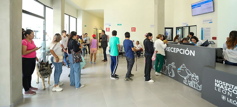 Hospital de Mascotas león 450: Un modelo que marca la diferencia en México